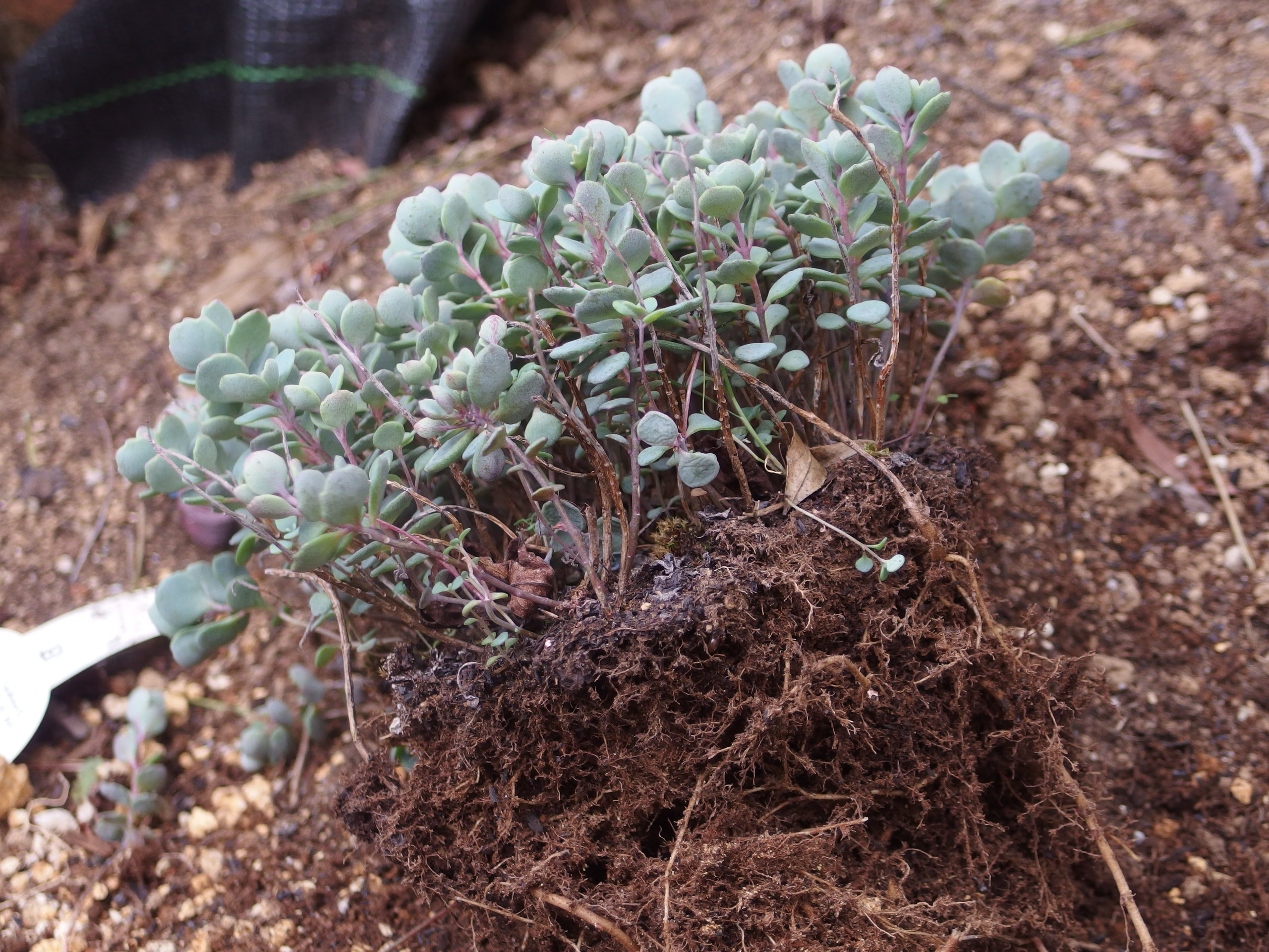 2015-06-05 15.51.14.jpg