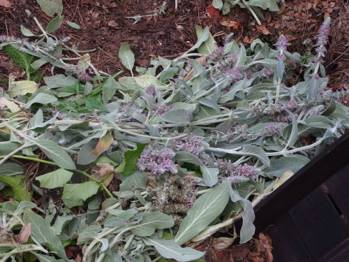 2015-06-24 17.09.49.jpg