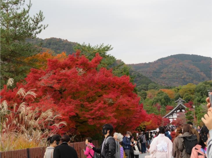 嵐山 (23).jpg