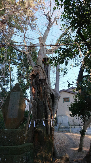 DSC_0213.JPG