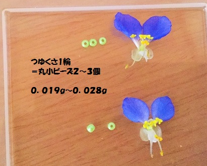 天秤2.JPG