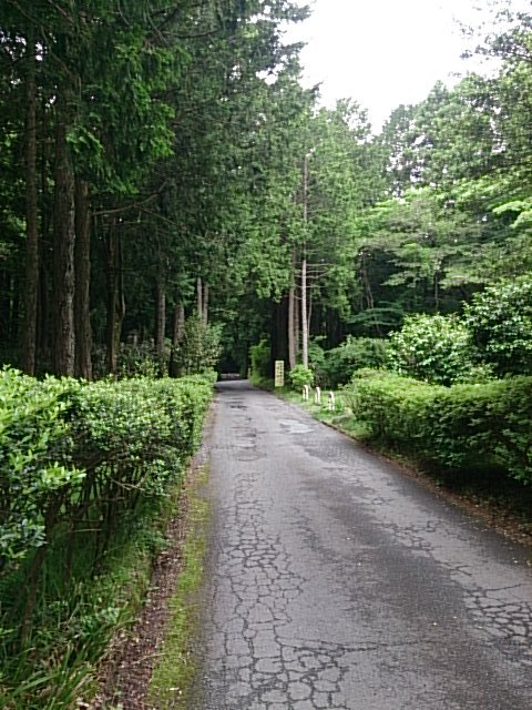 DSC_0147.jpg