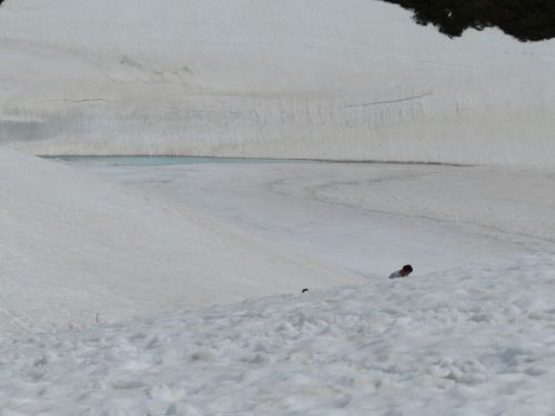 アルペンルート (30).jpg