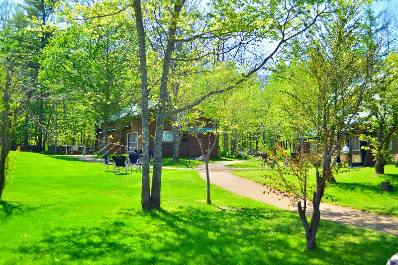 DSC_0563.jpg