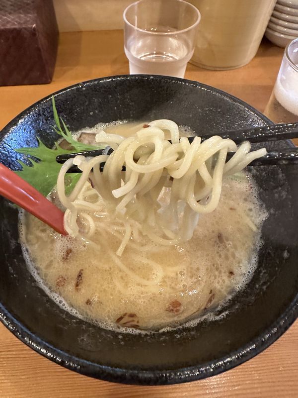 鶏白湯ラーメン_02.jpg