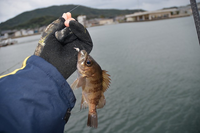 showPhoto (640×426)