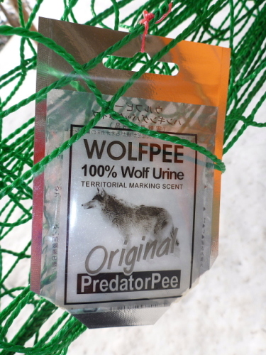 Ｗｏｌｆｐｅｅ2.jpg