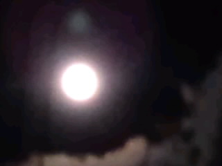 「Christmas Moon」2014