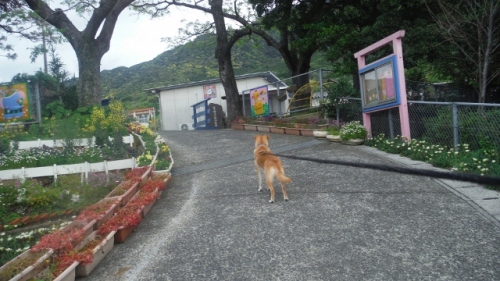 DSCF7311 (640x360).jpg