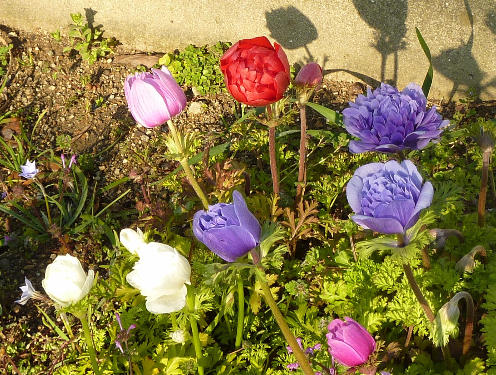 140323-3-1.jpg
