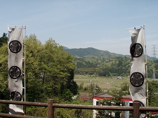 P4290067.jpg