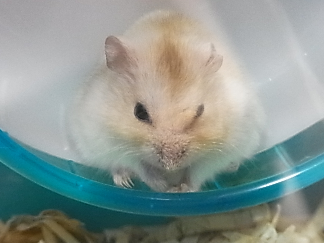 2014_07270072.JPG