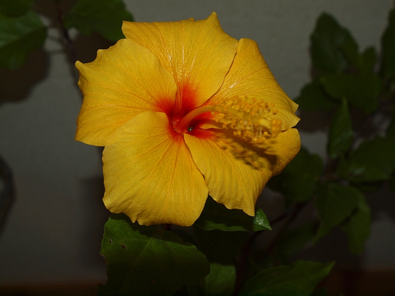 PB089920.JPG