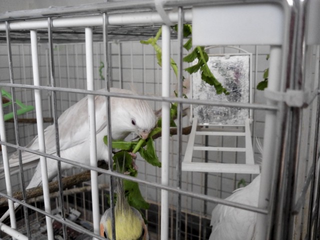 Image1359778692596.jpg