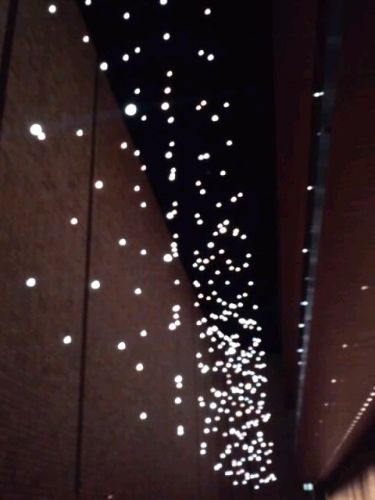 フェスのロビーの電飾