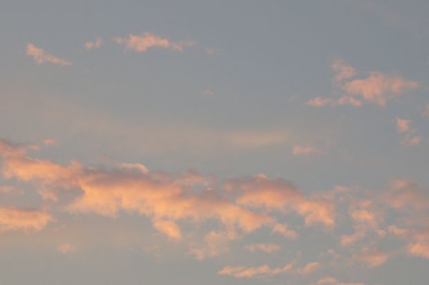 _DSC3062.JPG