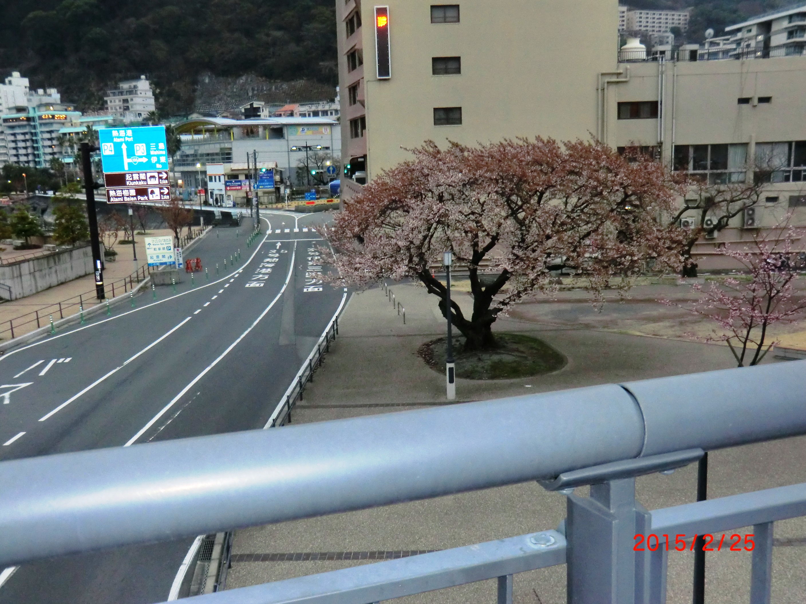 15-2-26さくら 007.JPG