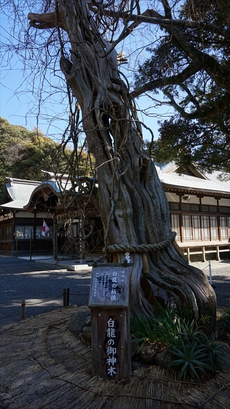 20150108 11370401.JPG