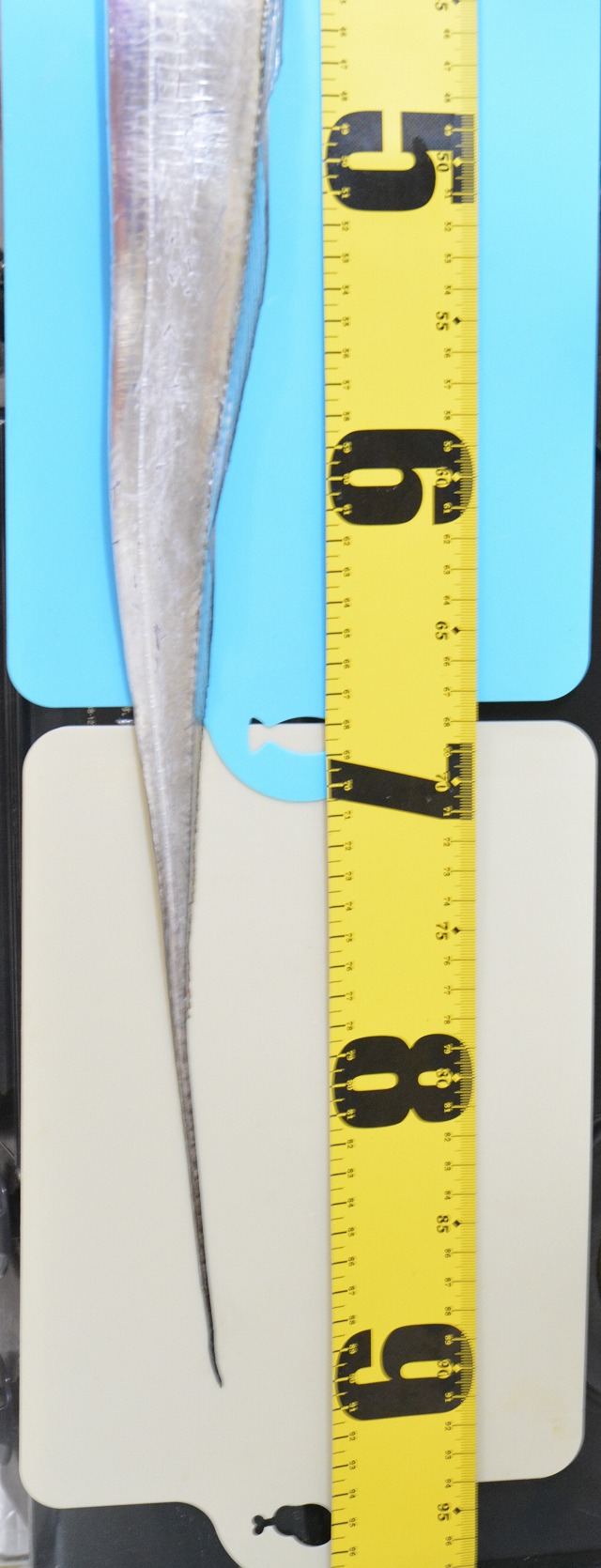 showPhoto (640×1670)