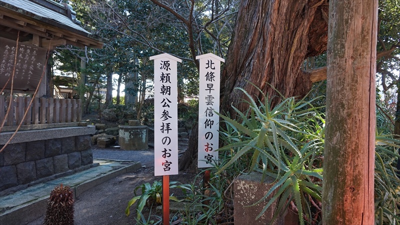 20150108 11433701.JPG