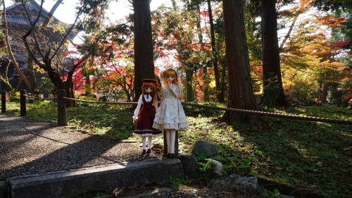 南禅寺 参道（永観堂方面）　紅葉 陽菜&えりちゃん2.jpg