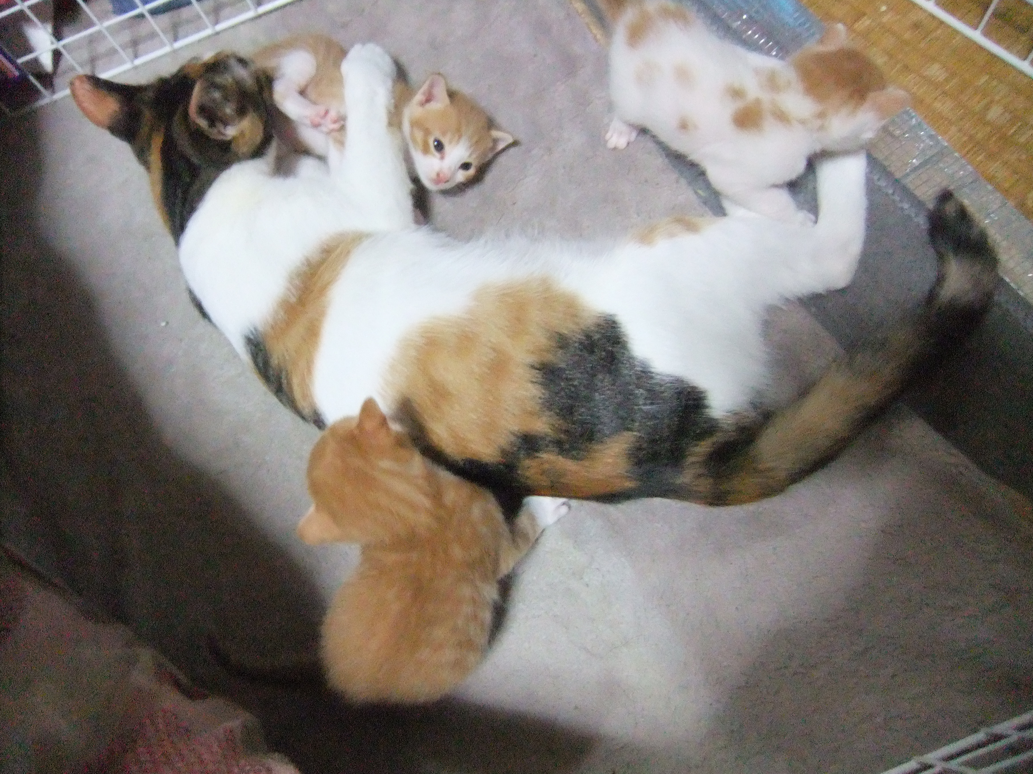 DSCF7029.JPG