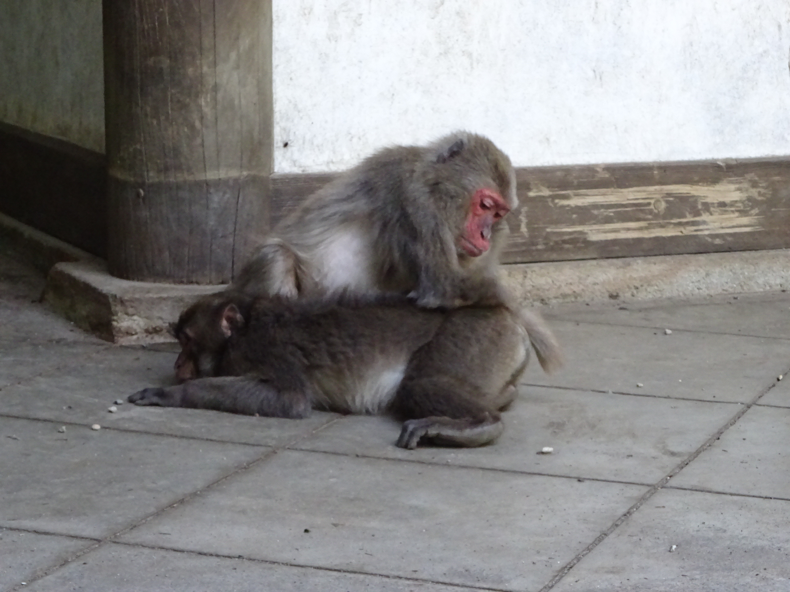 DSC06383.JPG