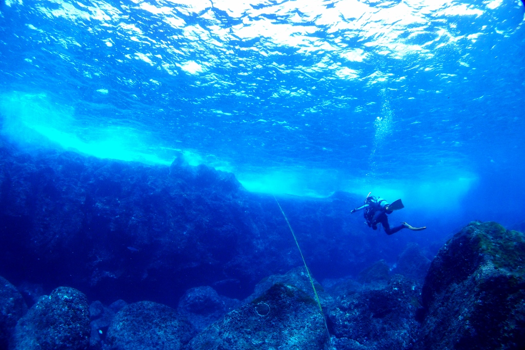 P8022389 (1024x683).jpg