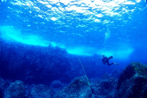 P8022389 (1024x683).jpg