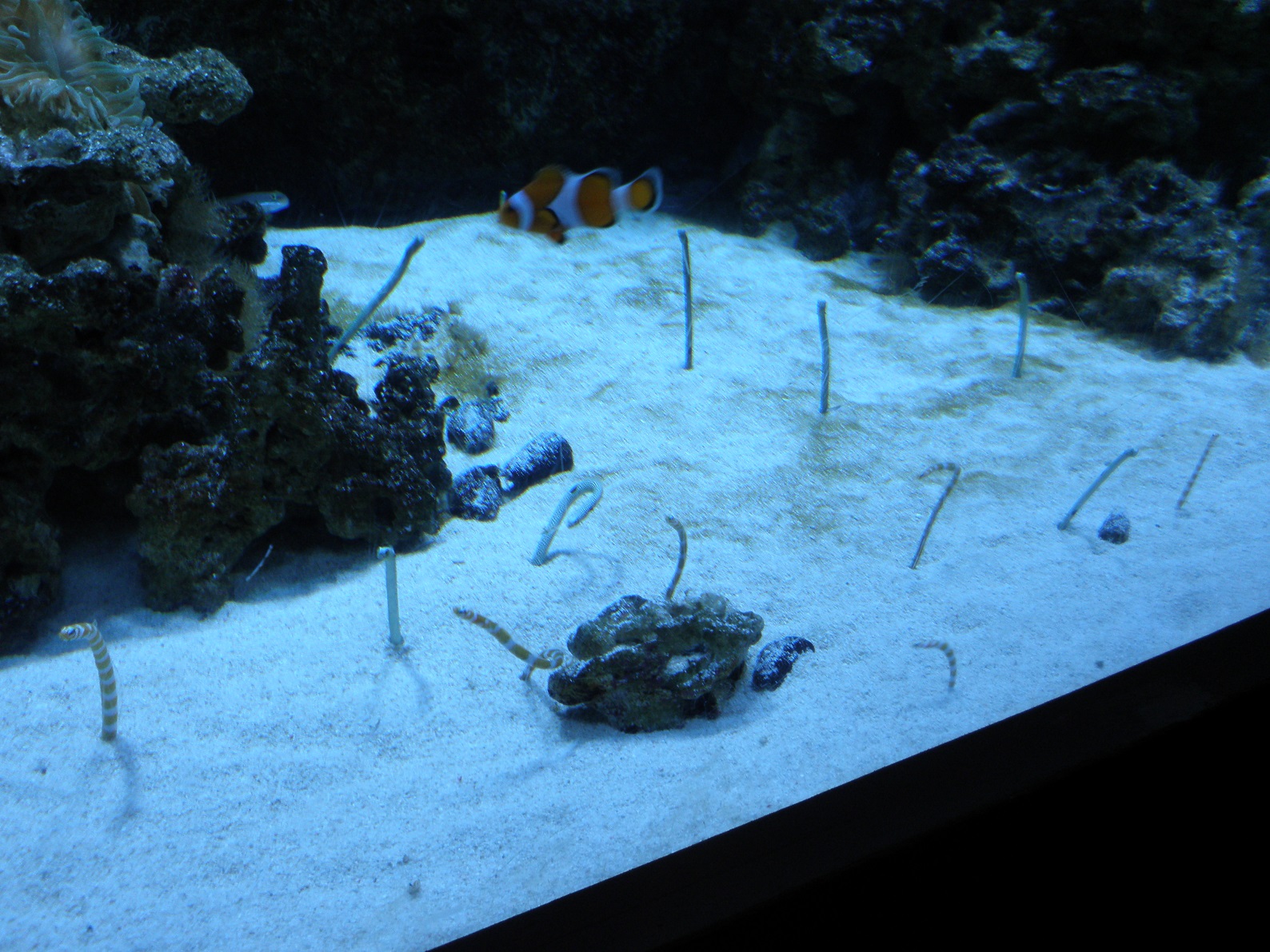P4112051.JPG