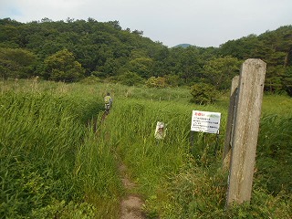 DSCN0987.jpg