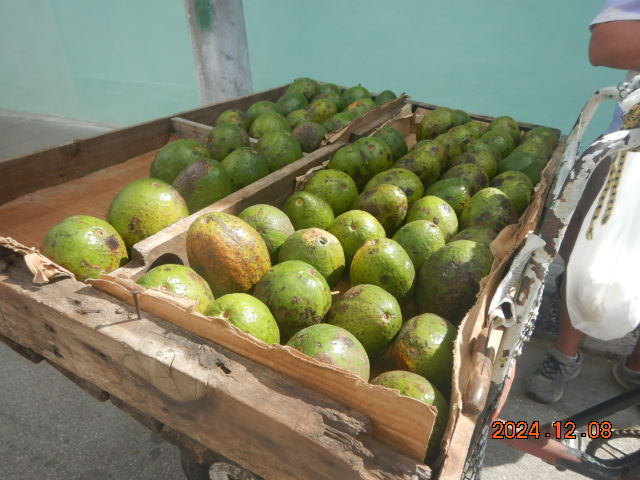 DSCN0082.JPG