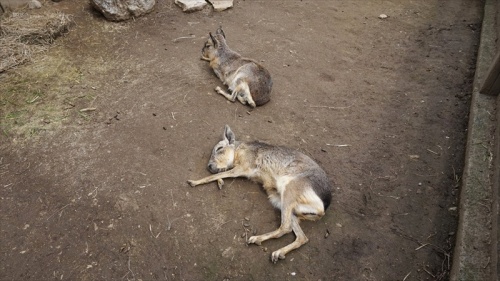 20150420 11391801.JPG