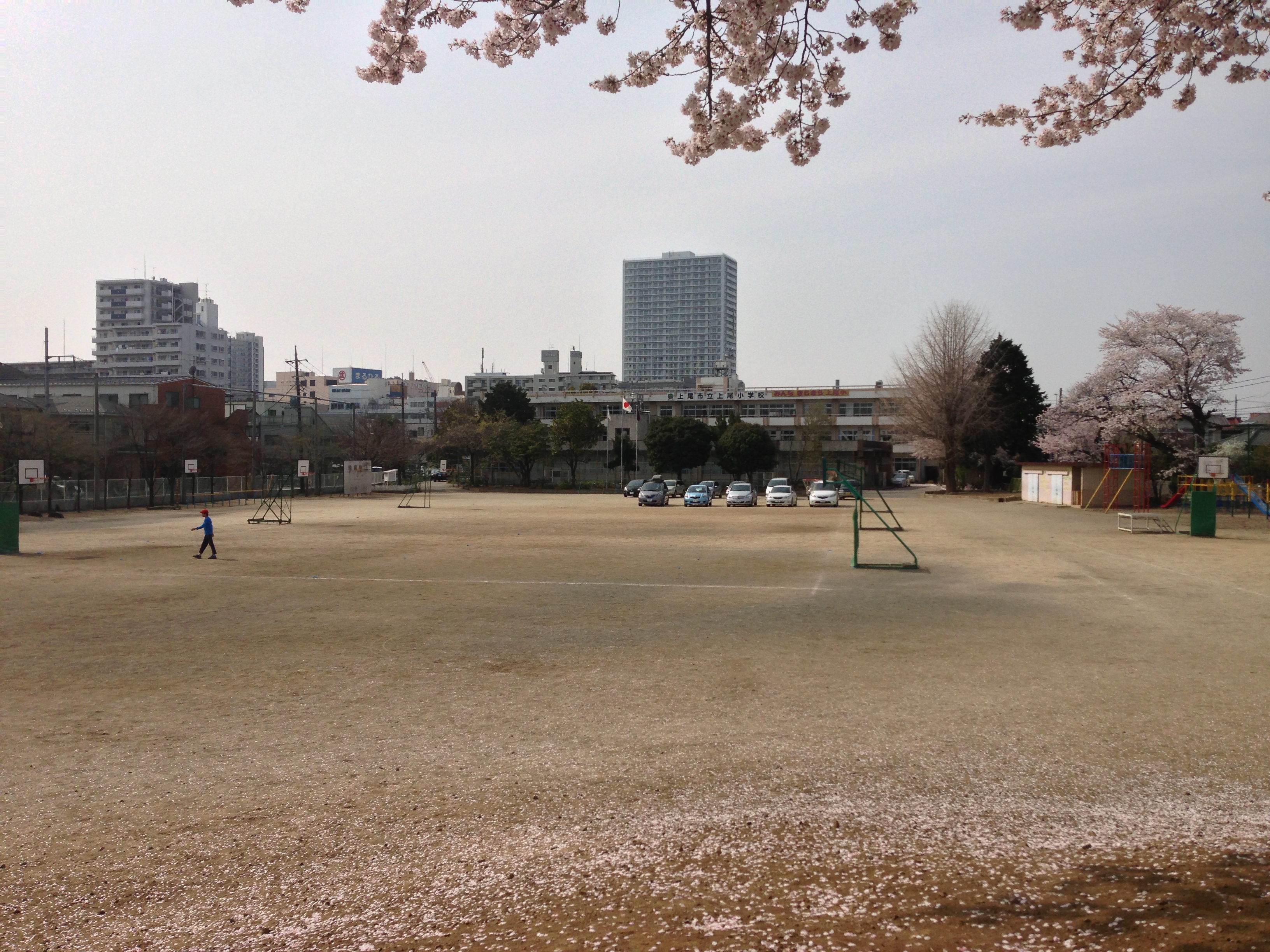 201304011531_4104_iphone.jpg