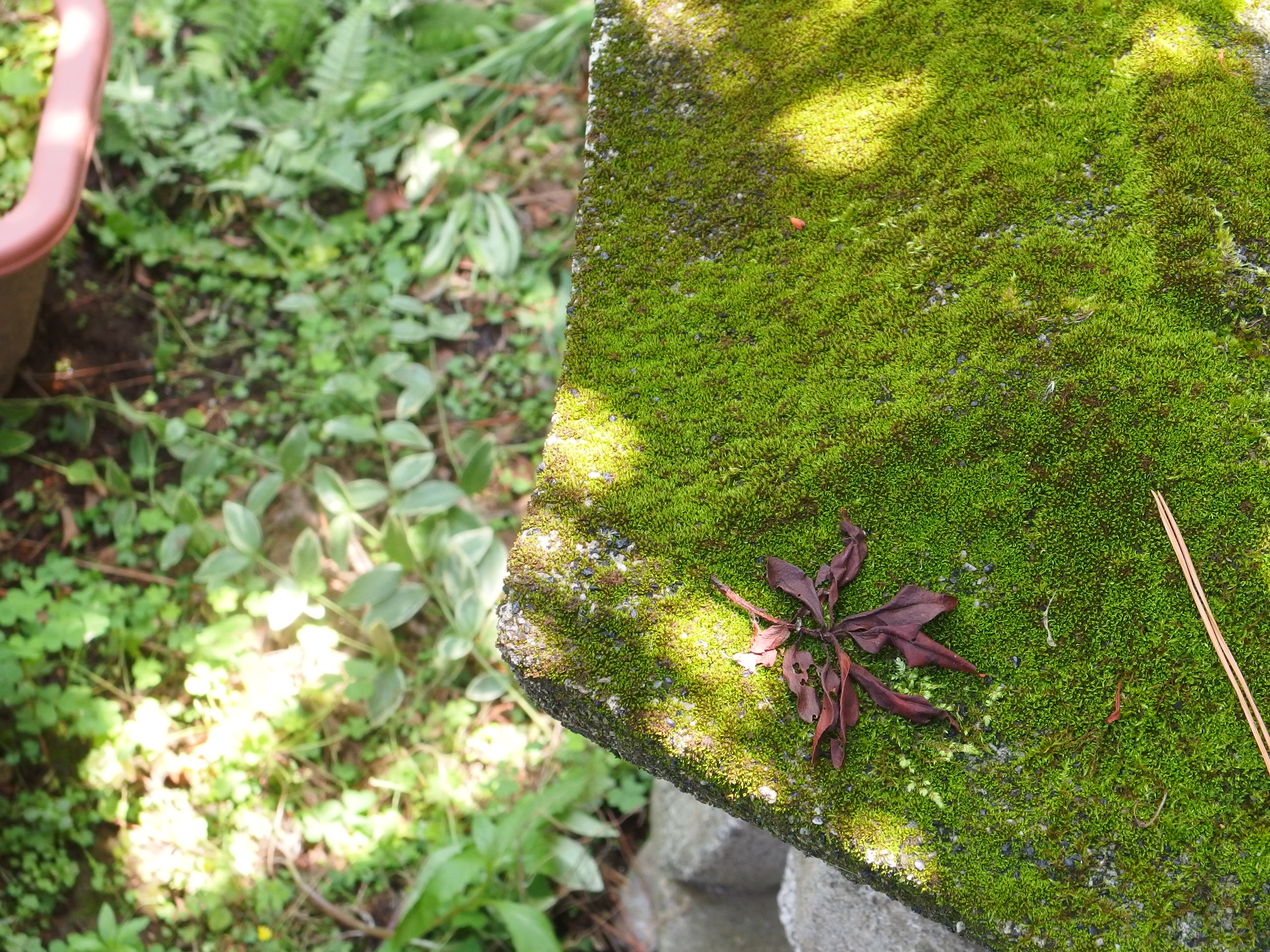 2015-06-24 10.45.40.jpg