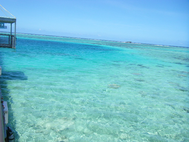 グアム旅行 フィッシュアイマリンパーク (12).JPG