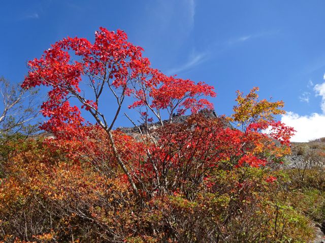 191001chausudake1.jpg