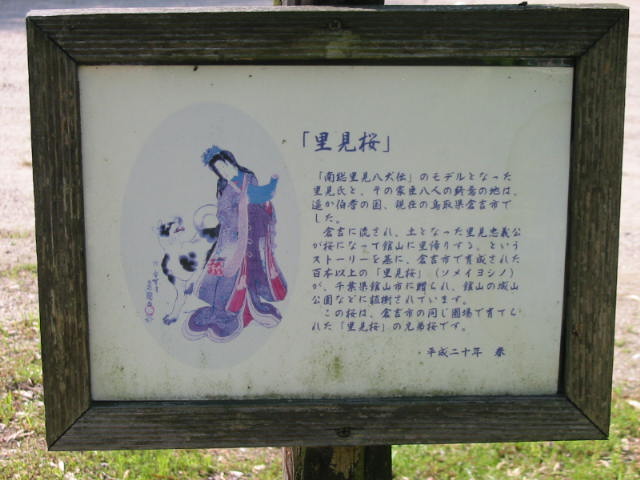 IMG_5871.JPG
