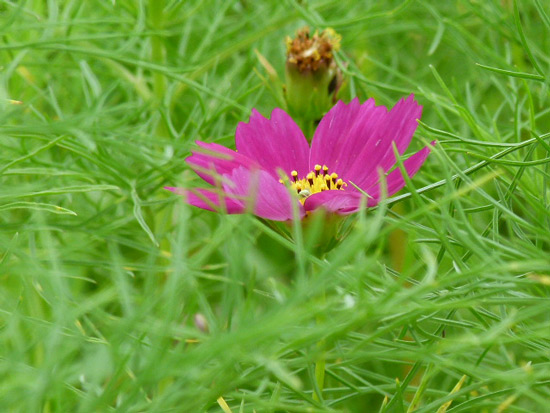 s12070605.jpg