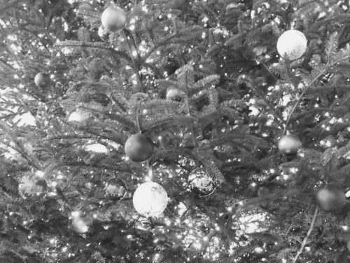 モノクロクリスマス2020.jpg