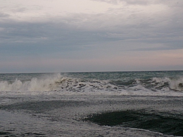 20160511  DSC_0009.jpg