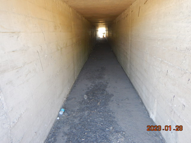 DSCN2172.JPG