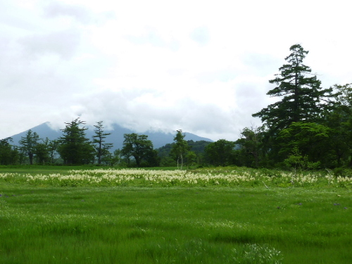 尾瀬ヶ原201307082.jpg