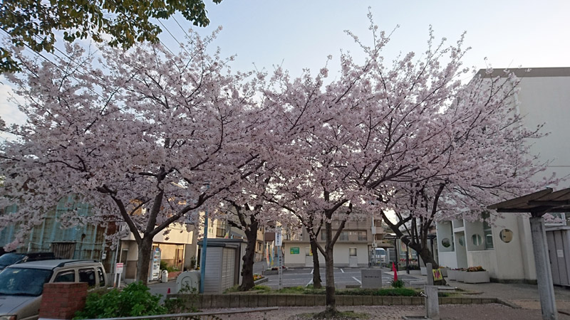 05_0261 800x450.JPG