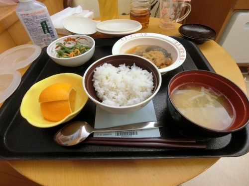 東大病院　とろ鯵みぞれ煮定食.JPG