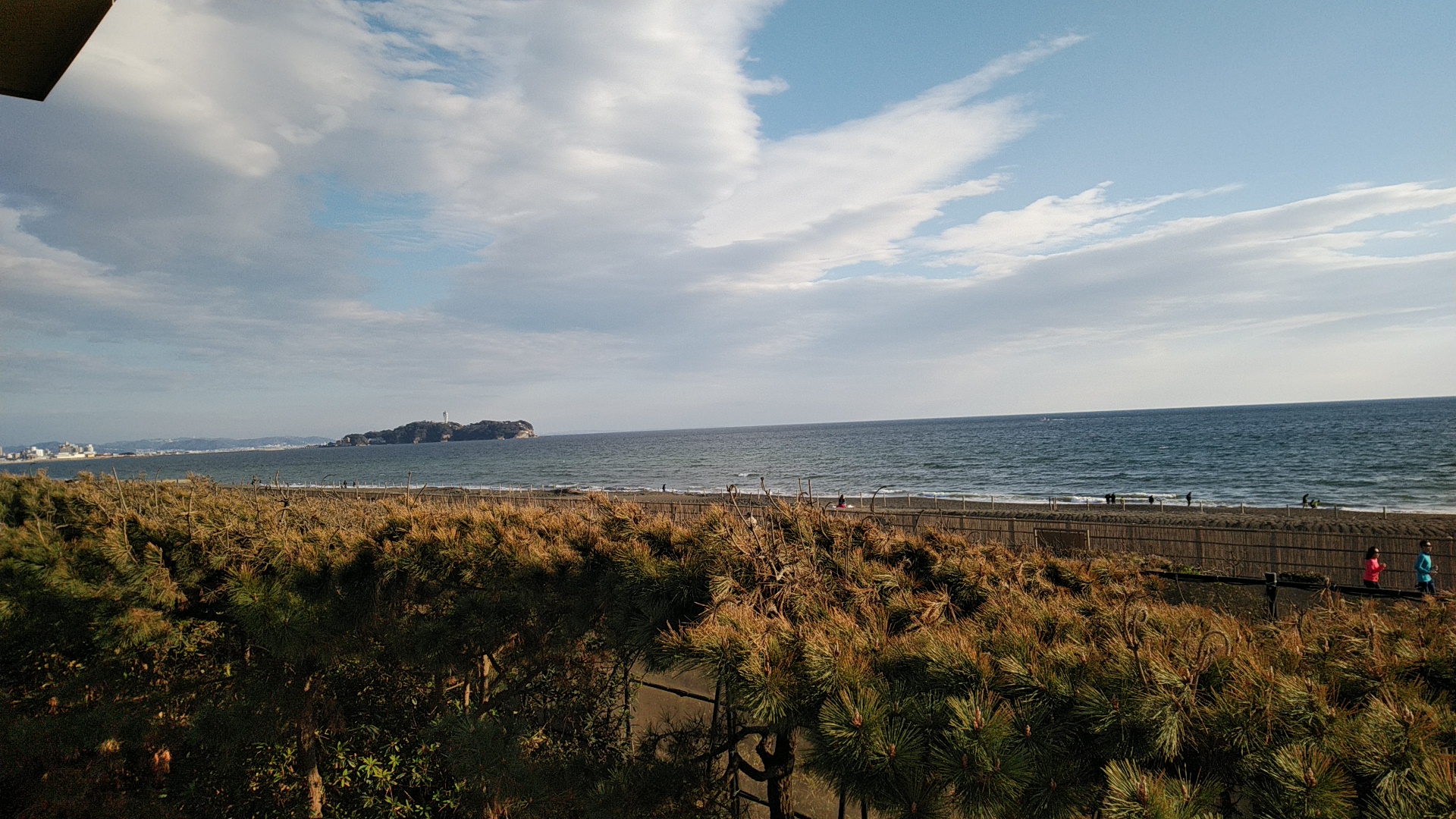 20190203  DSC_0002.jpg.jpg