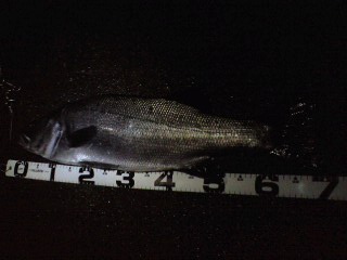 2012.3.10ひら70.JPG