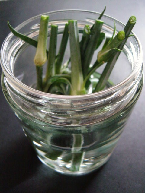 DSC07293.JPG