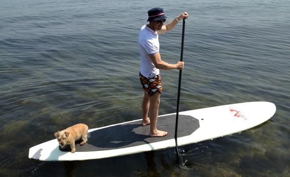 paddle.jpg