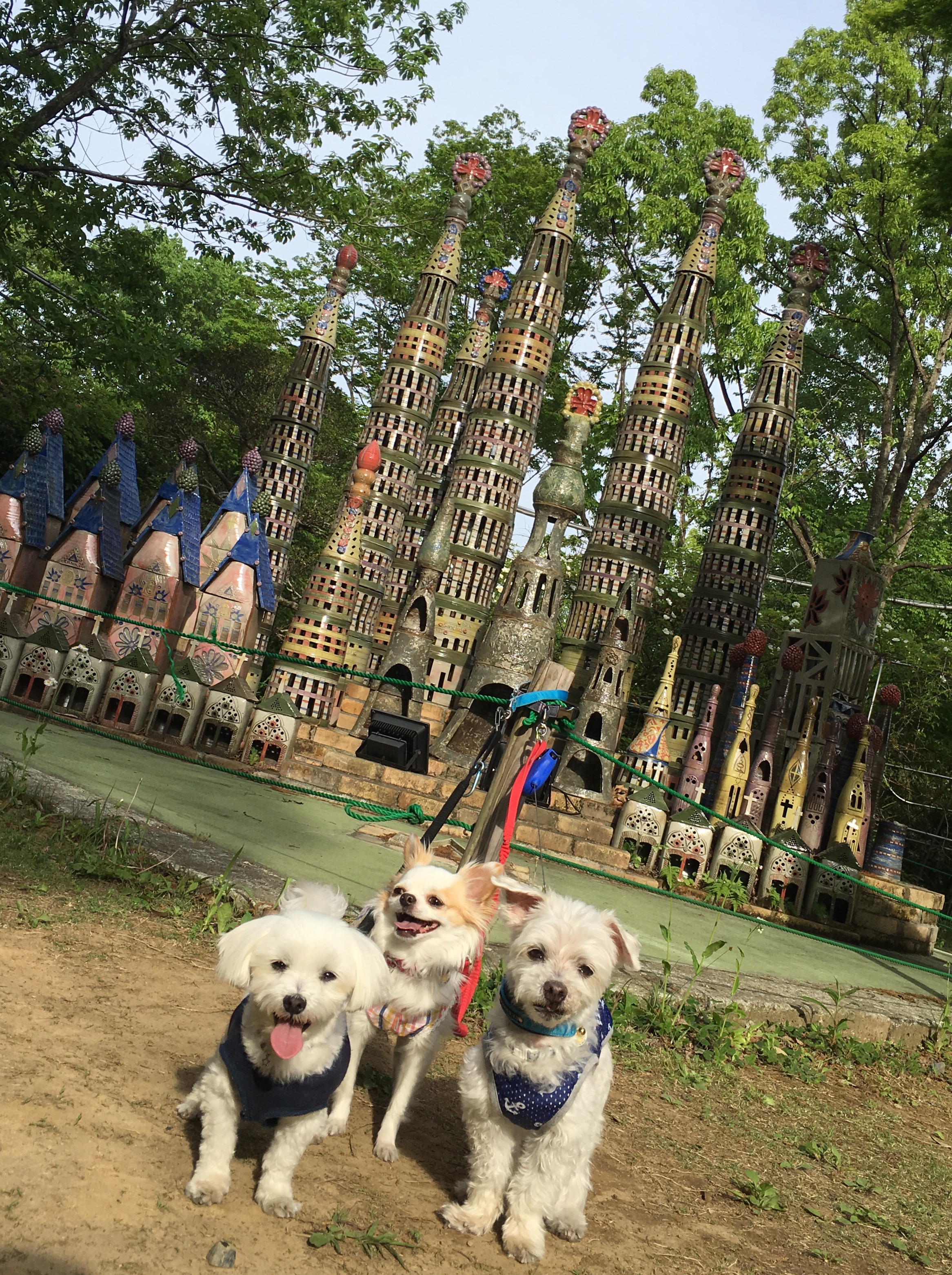 201605082107_2542_iphone.jpg